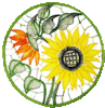 Klöppelbrief Fensterbild Sonnenblume 30 cm