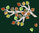 Klöppelbrief zu Zweig mit kleinen Blättern 38 x 20 cm